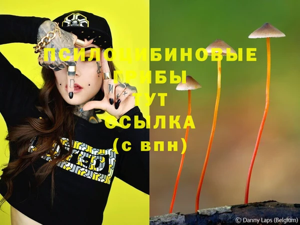дистиллят марихуана Кукмор