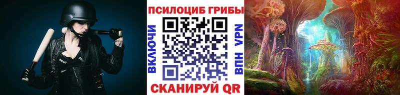 продажа наркотиков  hydra ССЫЛКА  Галлюциногенные грибы мицелий  Армавир 