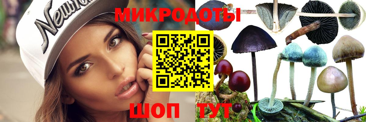 Псилоцибиновые грибы прущие грибы Армавир