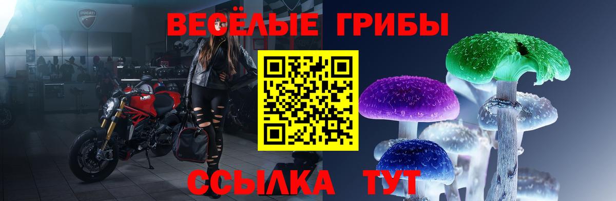 Армавир  Галлюциногенные грибы Psilocybe  Галлюциногенные грибы мухоморы  продажа наркотиков  Вход с VPN 